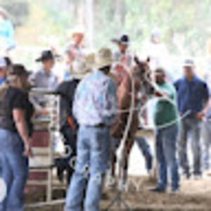 Meet your Posher, Leighton